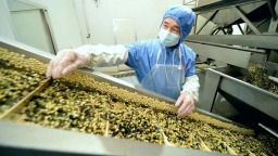 “高碑店豆腐絲”獲評保定區域公用品牌