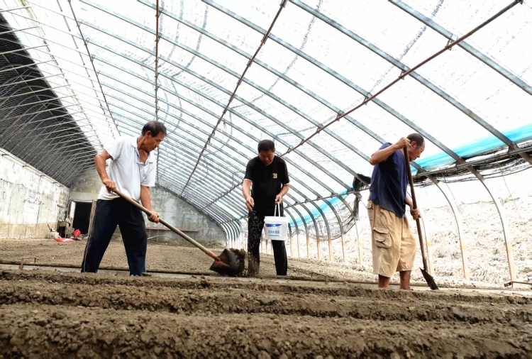 河北承德雙灤區大貴口村——災後重建加速度 生産生活復新顏