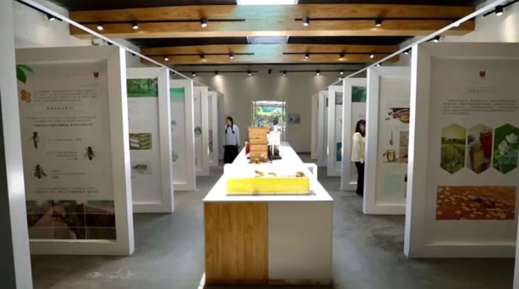 河北遵化：生態養蜂奏響鄉村振興“甜蜜樂章”_fororder_遊客參觀鼎珍蜜蜂科普館  遵化市融媒體中心供圖