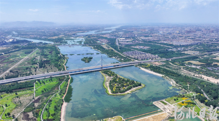 滹沱河畔夏意濃