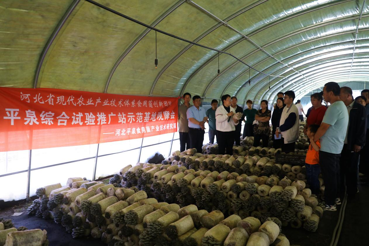 河北平泉舉辦綜合試驗推廣站示範基地觀摩會_fororder_圖片5