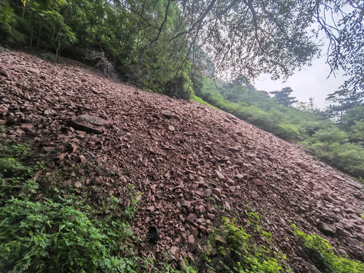 走進神秘塔寺峪 探訪國家地質公園_fororder_地質奇觀片麻岩石海