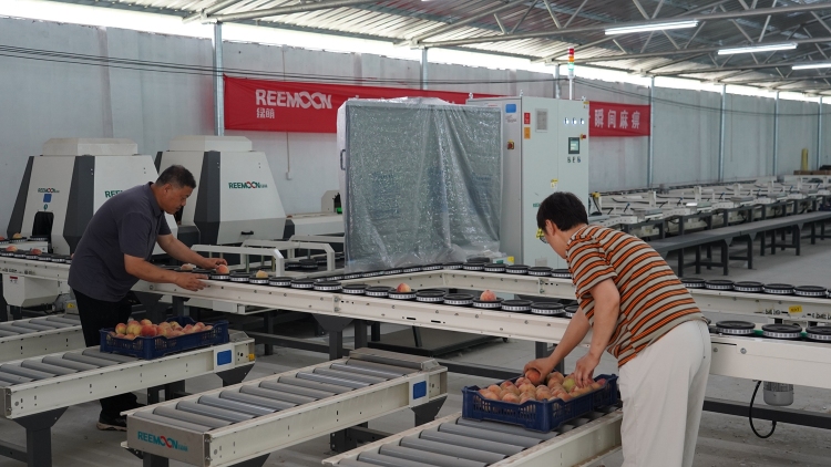 圖片默認標題_fororder_工作人員檢測固形物含量 攝影 邱迎新
