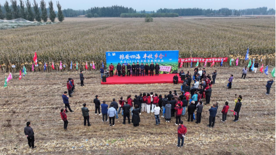 河北泊頭:玉米“寬窄行”新模式種出高産量_fororder_河北泊頭:玉米“寬窄行”新模式種出高産量417