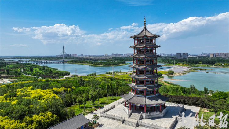 滹沱河畔夏意濃