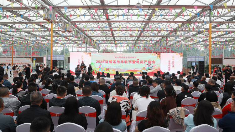 保定市蓮池區：“媒體+電商”助力鄉村振興_fororder_圖片一：9月23日，蓮池區舉辦2025年首屆蓮池豐收節暨電商産銷會。(王金中攝)