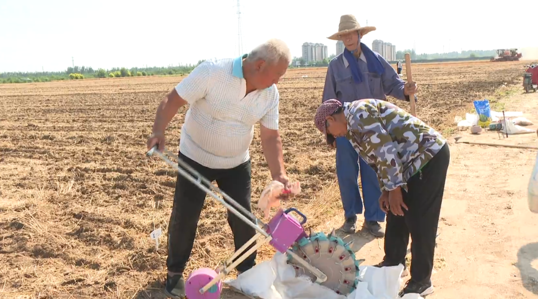 石家莊市鹿泉區：夏收夏播同步推進 良種良法保障糧食穩産_fororder_夏收夏播同步推進 良種良法保障糧食穩産3