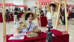 圖片默認標題