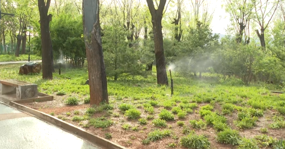 石家莊市鹿泉區：強化植物管護 全力迎接“五一”假期_fororder_image002