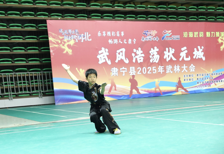 河北肅寧：300余名武術愛好者雲集秀“絕活兒”_fororder_河北肅寧：300余名武術愛好者雲集秀“絕活兒”2