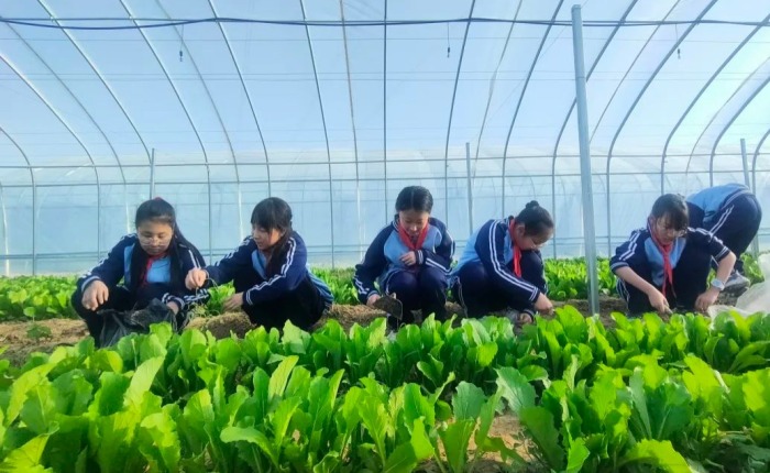石家莊市鹿泉區：讓生命自然生長 讓教育自然發光