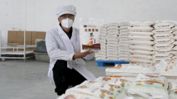 古法新磨出好粉 河北肅寧益源合作社讓“黑色金礦”變身健康美味