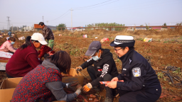 河北遵化：交通安全課堂搬進田間地頭