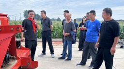 圖片默認標題
