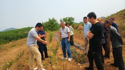 遵化市東舊寨鎮：黨建引領強根基 鄉村振興譜新篇