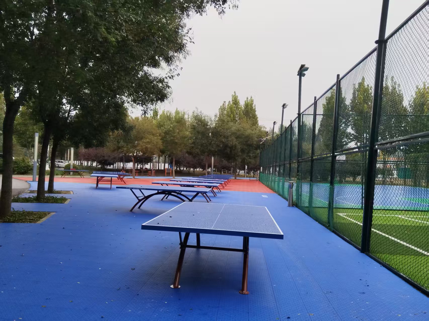 圖片默認標題_fororder_煥然一新的滿城復興公園健身器材 攝影 王濟