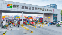 河北高碑店：托起鄉村振興“大民生”