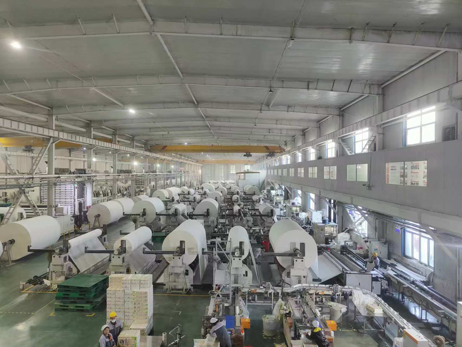 保定市滿城區生活用紙四度蟬聯“匠心産品”榜單_fororder_河北金博士生活用紙企業加工車間 攝影 黃夢娟