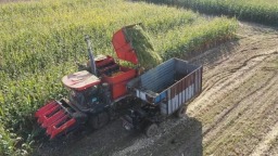 遵化：循環農業繪就生態富民新圖景