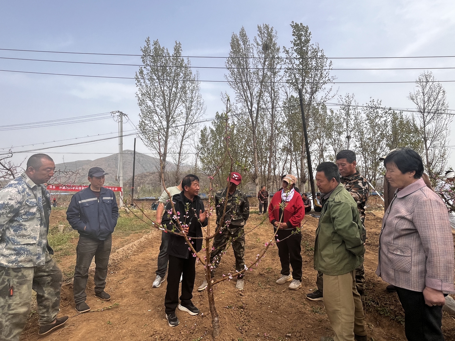 保定市滿城區：科技賦能結金果 結對幫扶聚合力_fororder_專家為農戶詳細講解種植知識 攝影 趙銀蘋