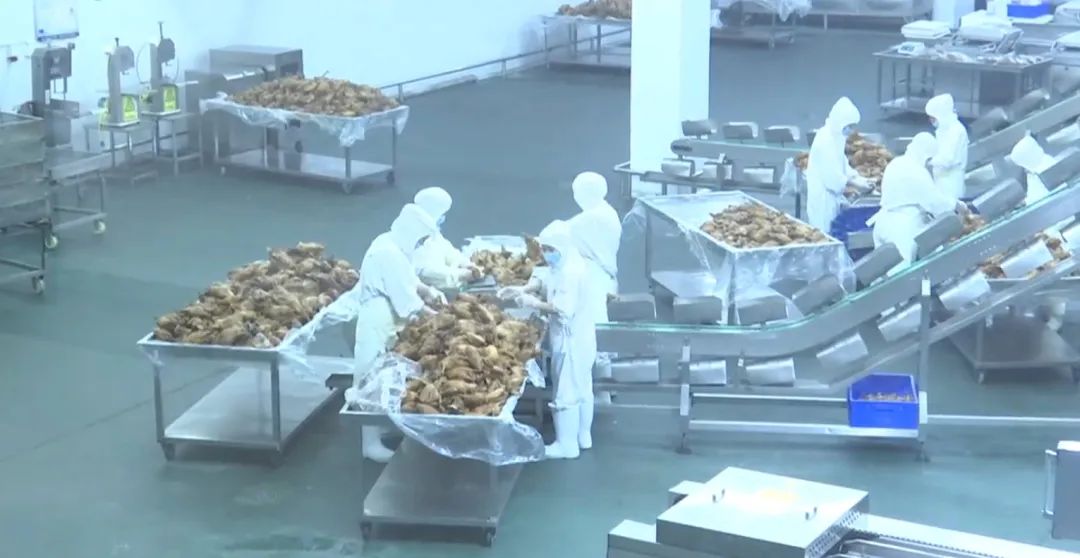 石家莊市鹿泉區：打造舌尖上的“好味道” 助力現代食品産業發展_fororder_image001