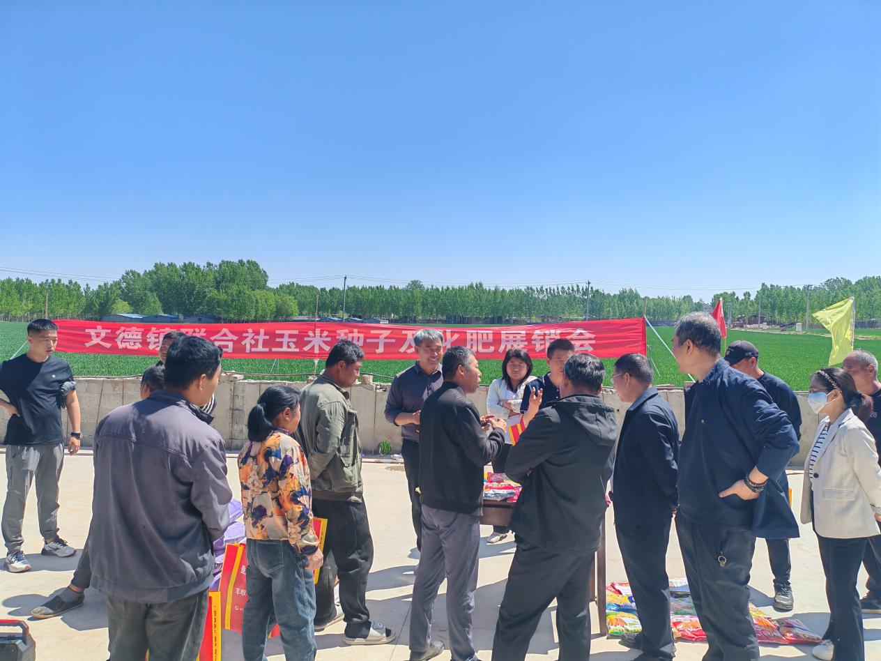 河北曲陽：農業産業服務聯合社 推動農業農村工作高品質發展_fororder_圖片 1