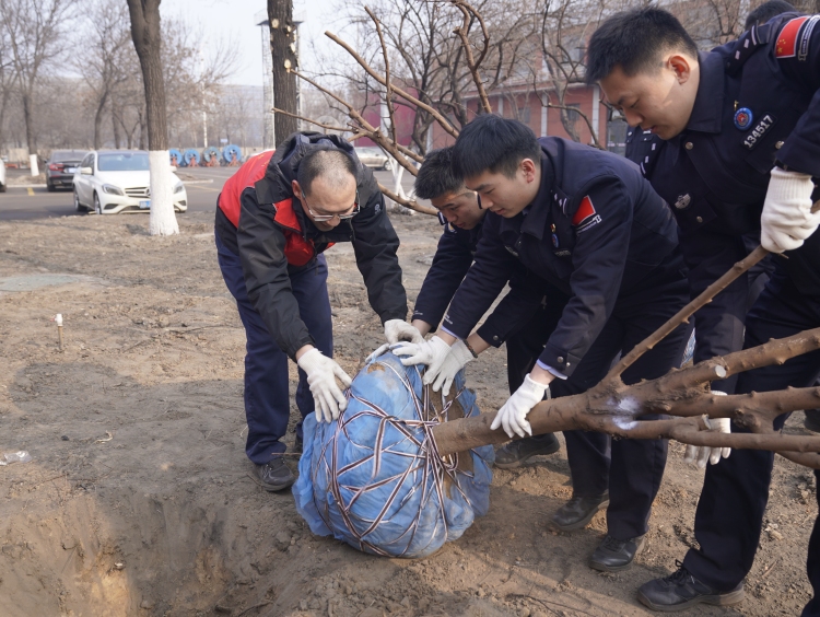“警企共植生態林 邊檢添綠護港城”  ——唐山邊檢站聯合駐地企業開展義務植樹活動_fororder_abe344e26f77151cbfa393e545b3820