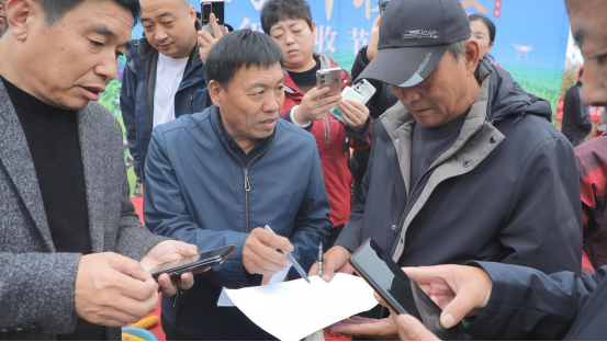 河北泊頭:玉米“寬窄行”新模式種出高産量_fororder_河北泊頭:玉米“寬窄行”新模式種出高産量500