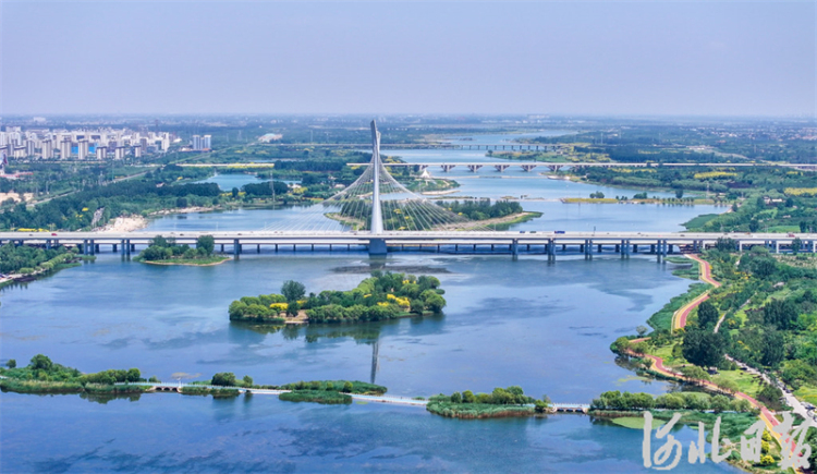 滹沱河畔夏意濃