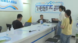 石家莊市鹿泉區：“線上線下”雙軌運營 鋪設就業"快車道"