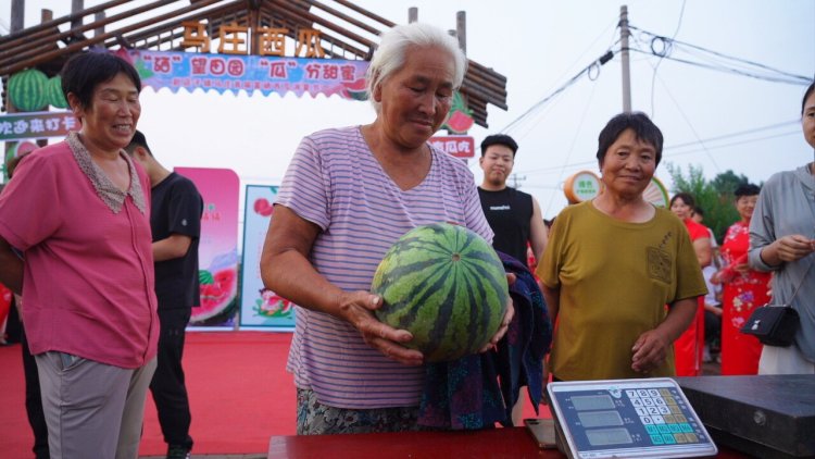 河北遷安:“硒” 望田園 “瓜”分甜蜜_fororder_瓜農參加“火眼金睛識瓜重”比賽。郭強 攝.JPG
