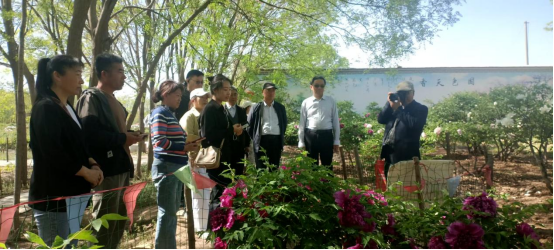 河北泊頭：以花香為禮 邀“身邊好人”共赴春日文明之約_fororder_河北泊頭：以花香為禮 邀“身邊好人”共赴春日文明之約436