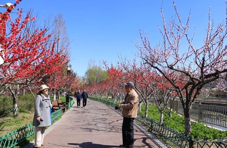 保定市蓮池區：公園建設繪就生態宜居新畫卷_fororder_圖片四：市民在東湖公園取景拍照。（王金中攝）