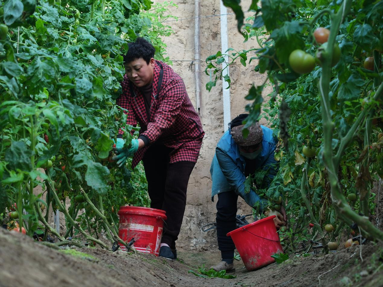 圖片默認標題_fororder_圖片 3