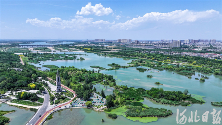 滹沱河畔夏意濃