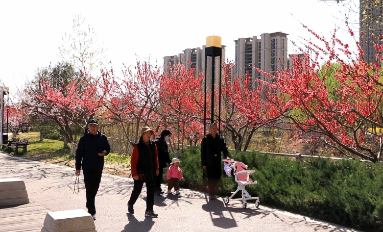 保定市蓮池區：公園建設繪就生態宜居新畫卷_fororder_圖片二：市民在東湖公園散步。（王金中攝）