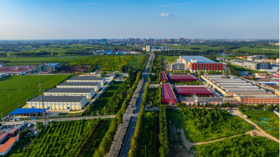 河北高陽：項目建設加速跑  積蓄經濟新動能_fororder_河北高陽項目建設加速跑  積蓄經濟新動能413