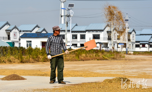 張家口：德勝村喜迎豐收節