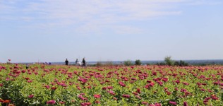 行走北太行文化生態休閒體驗區 觸摸保定文旅新名片