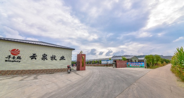 “險資直投+保險保障”新模式助力脫貧攻堅