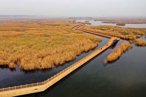 河北出臺雄安新區首部地方性法規