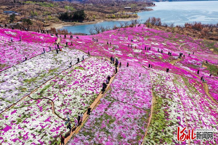 河北遷西：假日漫步雨花谷