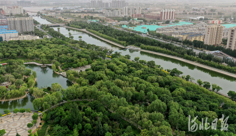 河北宣化：“萬柳盛景”今在萬柳公園