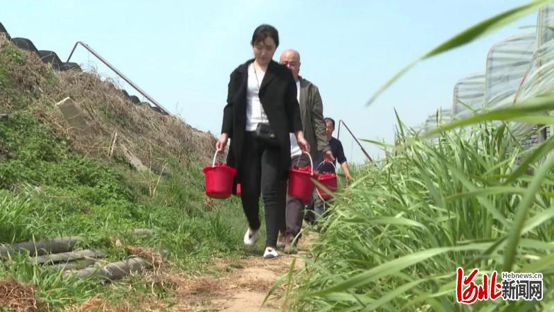 河北正定：農村實用人才助力農民增收