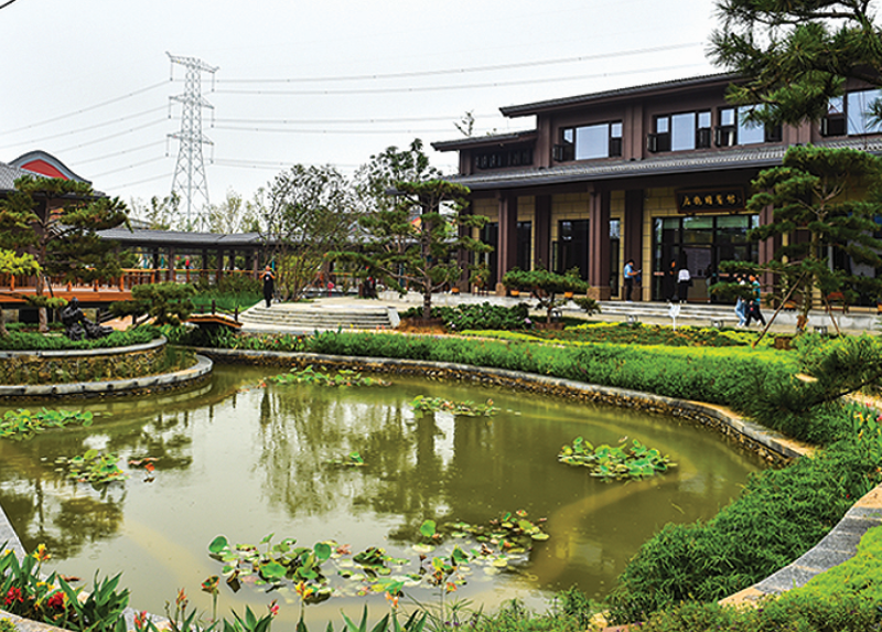 一園一景展雄安生態之美——雄安郊野公園掠影