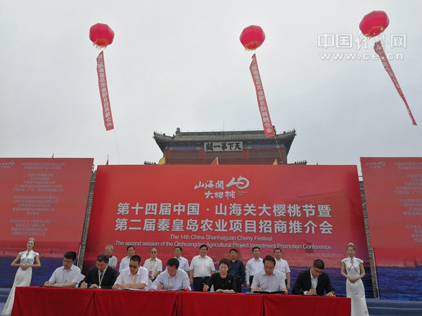第十四屆中國·山海關大櫻桃節在河北秦皇島舉辦