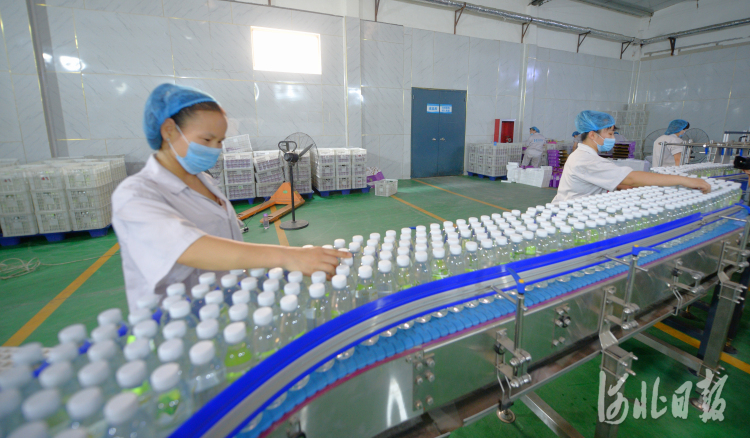 河北巨鹿：農産品加工促增收