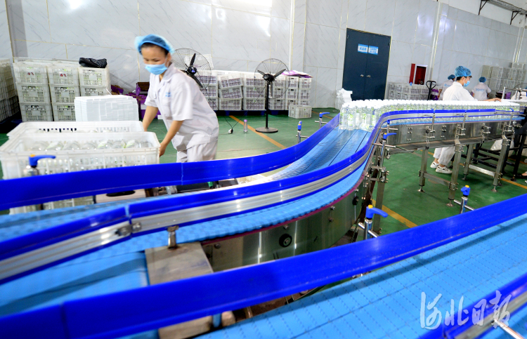 河北巨鹿：農産品加工促增收