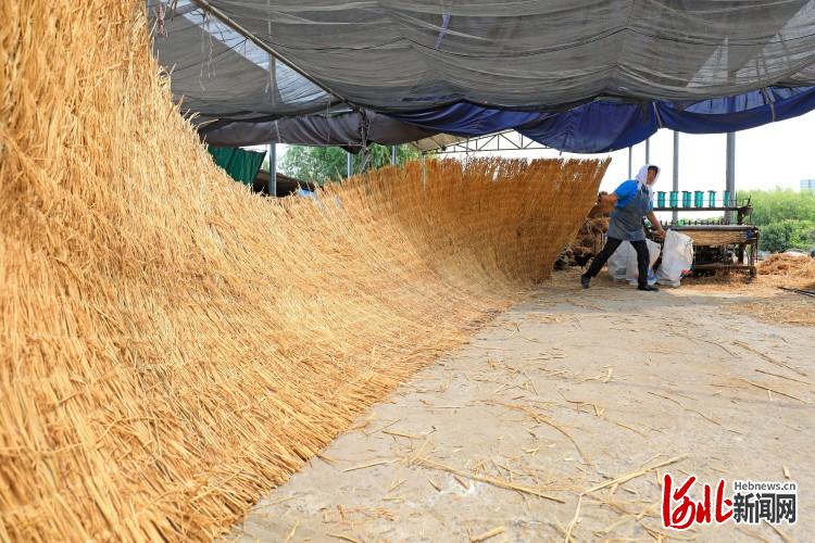 河北灤南：稻草“變寶”富民增收