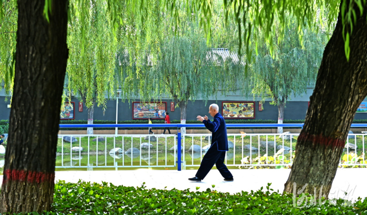 河北辛集：畫出農民新生活